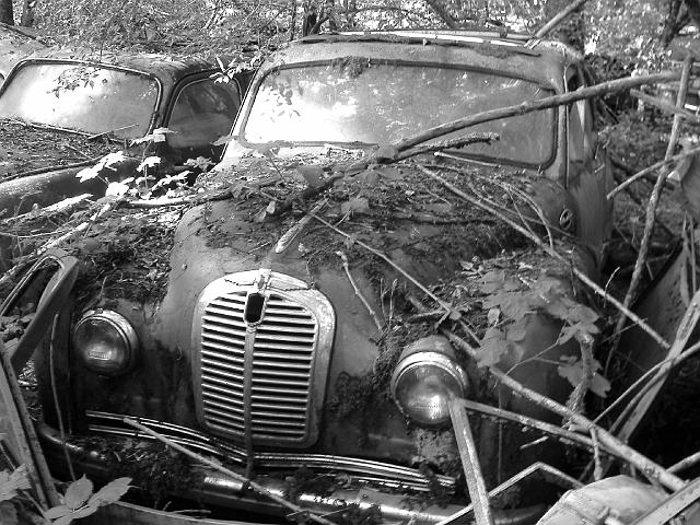 Autofriedhof - 159.JPG - Historischer Autofriedhof,    Gürbetal (CH)